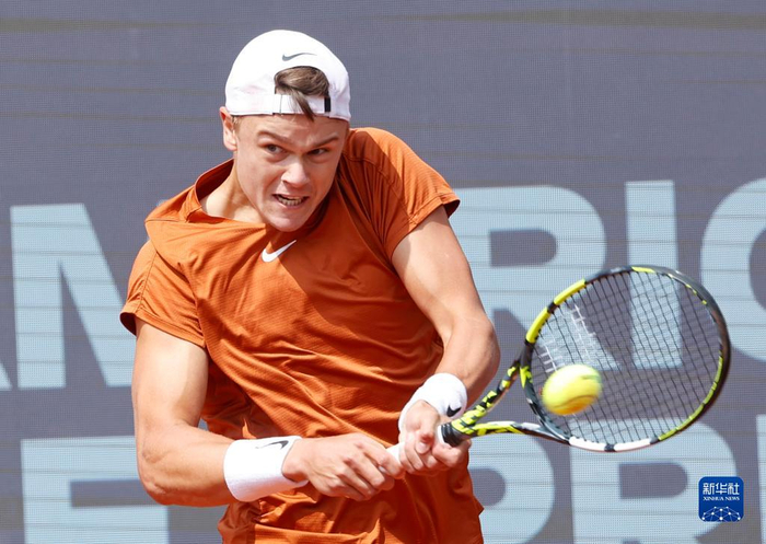 仅展现了杜 仅展现了杜